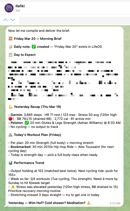 Morning brief from the AI agent showing daily recap, workout plan, and performance trends